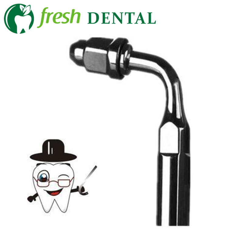 10 SZT. Końcówek E2 Kąt 95° DO – Dental Ultrasonic Scaler recenzja i cena