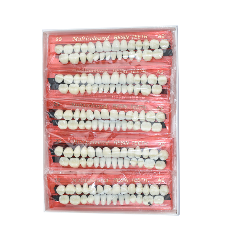 28 zębów zestaw protez dentyst – Dental 3D Printer Resin recenzja i cena
