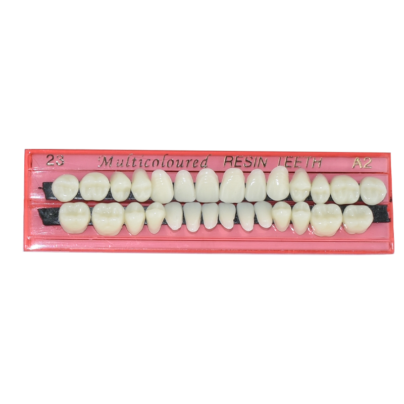 28 zębów zestaw protez dentyst – Dental 3D Printer Resin recenzja i cena