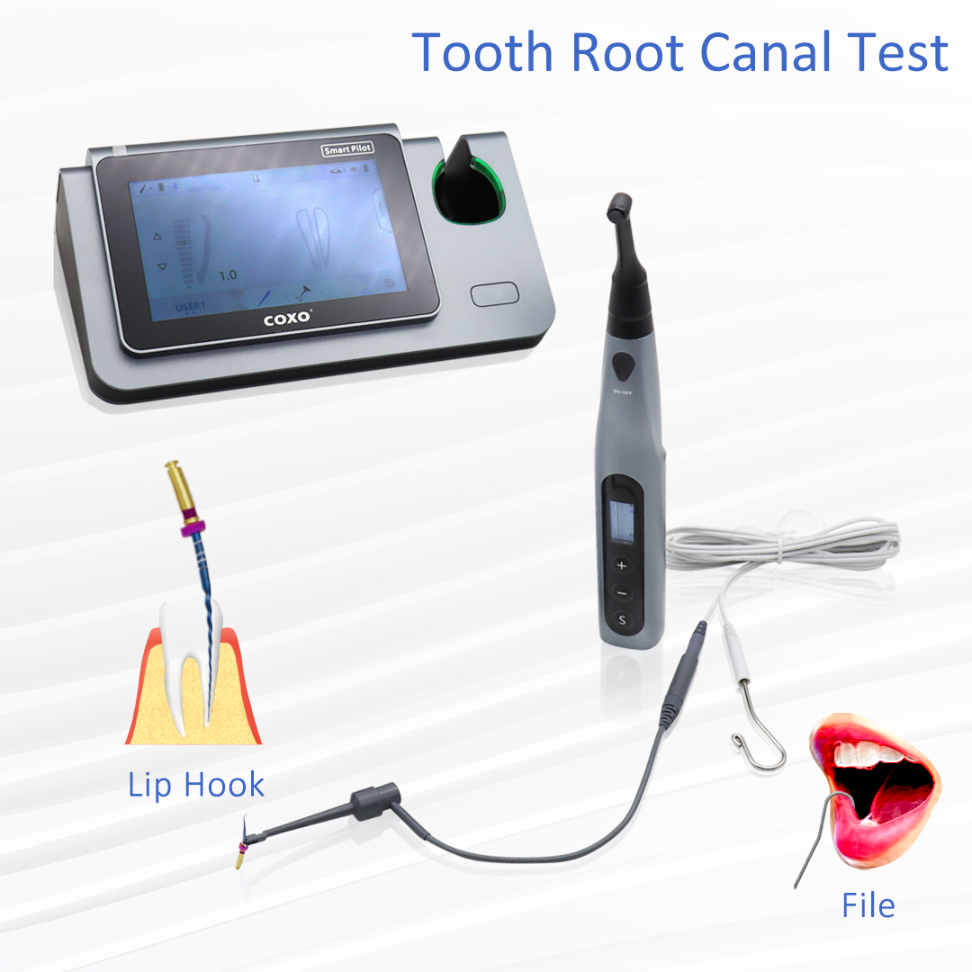 COXO Smart Endo Motor C-SMART  – Dental Endo Motor Apex Locator recenzja i cena